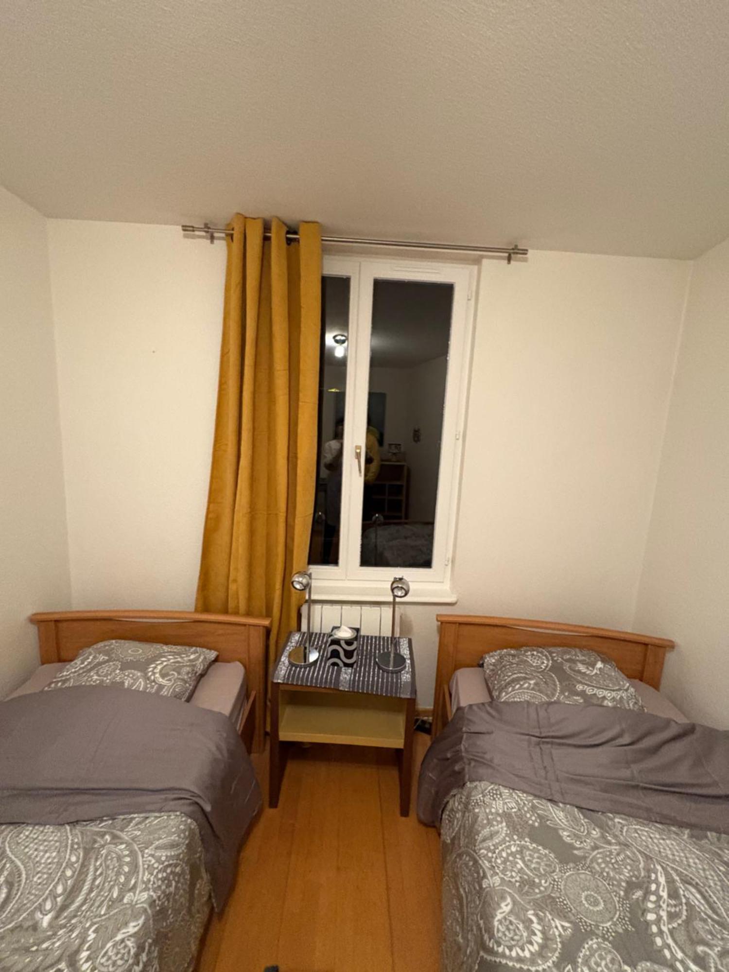 Appart 3P 57 M2 Le Coeur De La Krutenau สตราสบูร์ก ภายนอก รูปภาพ